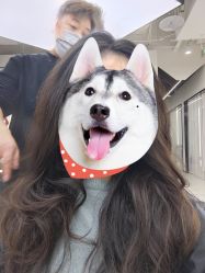-FINE HAIR 烫染专业设计