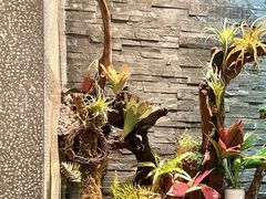 -泰适SPA馆丨精油·按摩·足道(后海地铁口店)