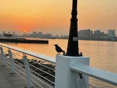 -上海山野camping·户外天幕烧烤·团建拓展营地