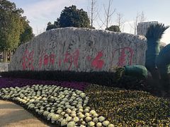 -南翔镇银翔湖公园