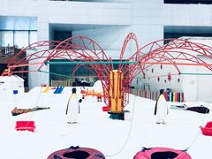 -哈尔滨热雪奇迹