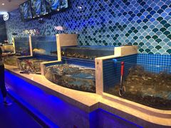 水产区-乔哥铭洋海鲜自助(皇城恒隆广场店)