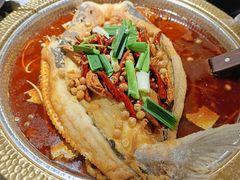 -肥家大排档(天河体育西店)