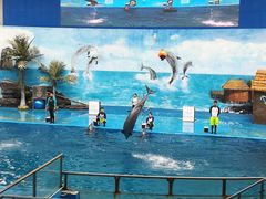 -石林冰雪海洋世界