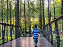 -黄海国家森林公园