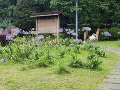 -青城道汤池