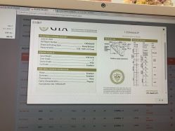 -钻石小鸟钻戒婚戒定制(石路店)