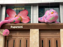 -帕帕拉兹宠物(亚洲旗舰店)