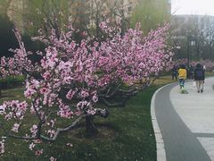 -迎泽公园