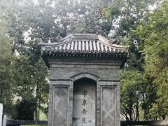 -西海子公园