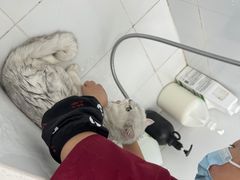 -美联众合24小时·皮肤科·外科·全科诊疗中心(华苑分院)