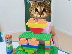 -卡巴机器人编程·少儿编程·信息学竞赛(公益西桥校区)