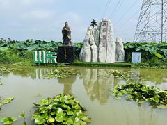 -池杉湖湿地公园