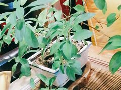 -菩提书坊(侨福大厦店)