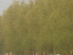 -北京群众马术培训基地