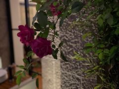 -上海和平饭店华懋阁 Cathay Room