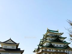 -名古屋城