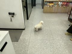 -四月宠物医院·猫专科·心脏专科·内科(转塘店)