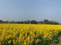 -中国天府农业博览园