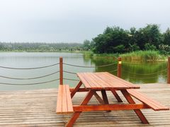 -崇明东平国家森林公园烧烤房车露营地