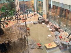 -麒麟中餐厅·经典粤菜·地道菜式老字号(广州长隆酒店)
