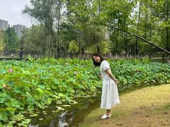 -沐仙湖湿地公园