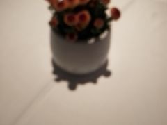 -上海总会SHANGHAICLUB(兴业太古汇店)