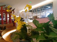 -游You House(西单老佛爷店)