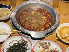 -成老灶火锅鸡(平山店)