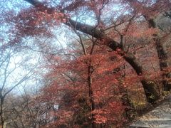 -九鼎铁刹山风景区