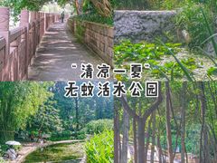 -成都市活水公园