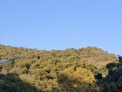-老山国家森林公园