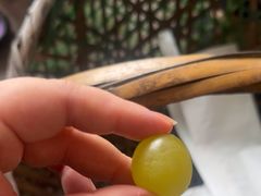 -马陆小张葡萄园农家乐