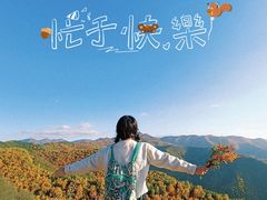 -云顶山风景区