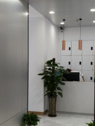 -华卫思理轻奢造型