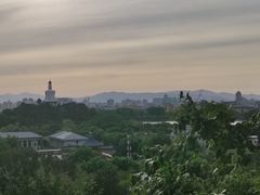 -八喜冰淇淋蛋糕(富国店)