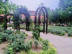 -睦南公园