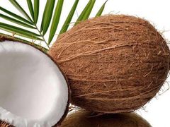 -志龙皇冠吃货椰子铺