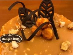 夏威夷坚果品脱冰淇淋-哈根达斯(SM店)