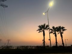 -宝安西湾红树林湿地公园