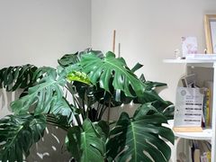 -龙湖杭州滨江天街