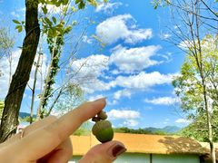 -青峰峡国家森林公园