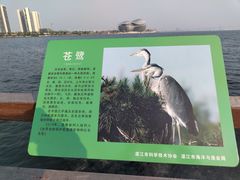 -霞山观海长廊