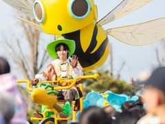 -荷兰花海