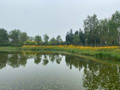 -东郊湿地公园