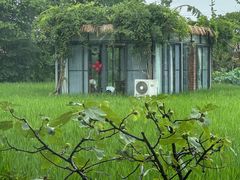 -洪湖家庭农场·团建·露营·会议