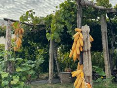-大泽山风景名胜区