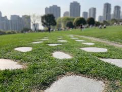 -重庆中央公园(渝北区)