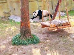 -上海野生动物园