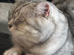 -平行世界·猫咖(首经贸店)